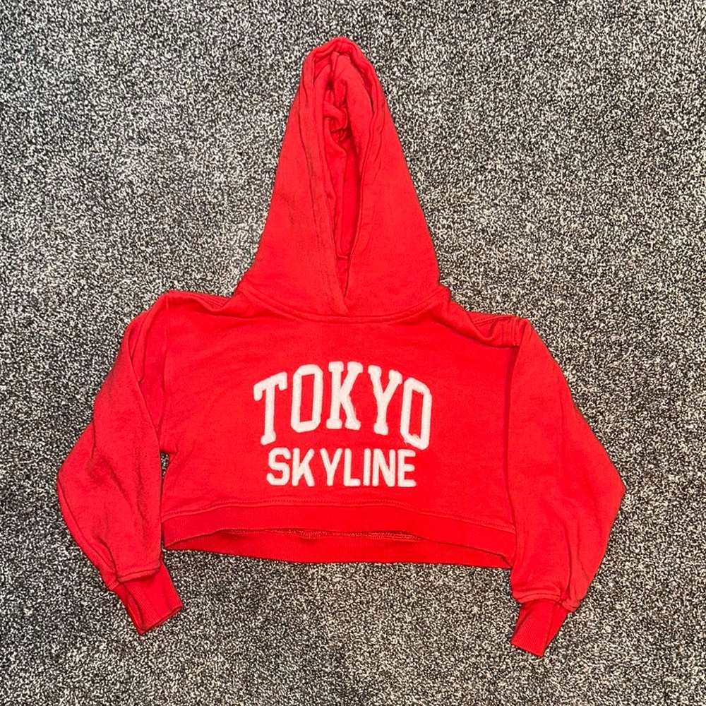 Zara Red kid Hoodie Sweater